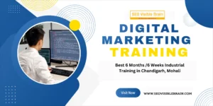 Read more about the article Explore Your Digital Playground with SEO Visible Brain: Your Ticket to Online Marketing Adventure