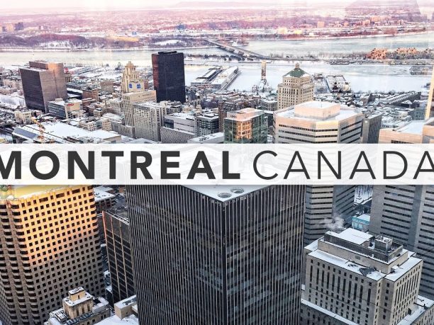 seo company montreal